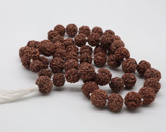 Perles de prière Rudraksha authentiques de l'Himalaya | Mala de 54 et 108 perles avec pompon | Graines de chapelet népalais Rudraksha 5 faces | Méditation et prière