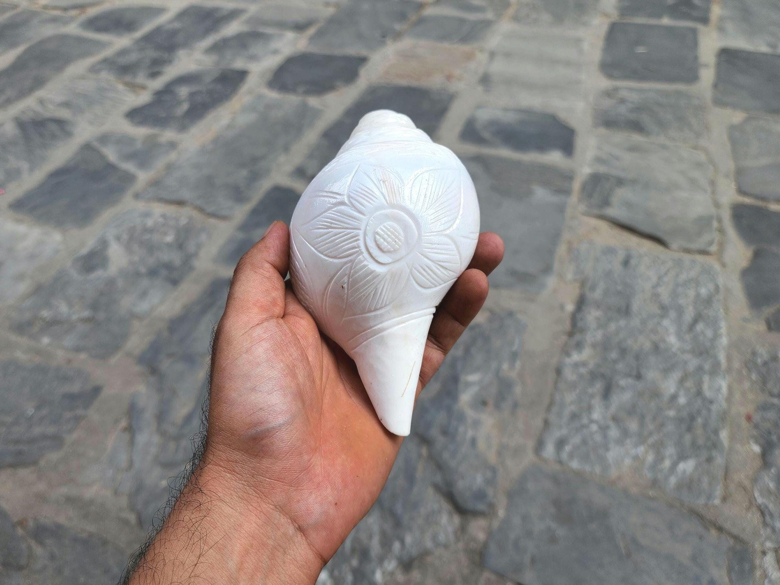 P.Shankha (白法螺) pup P.Shankha (白法螺) pup White Sankha, Hand Carved Flower Design