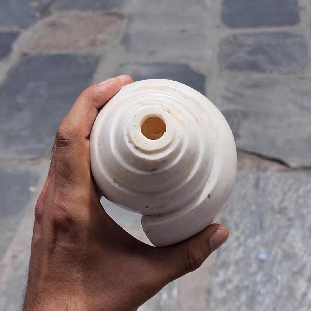 Rare 5-line Shankha Conch Shell: Sacred Spiritual Cleansing Decor