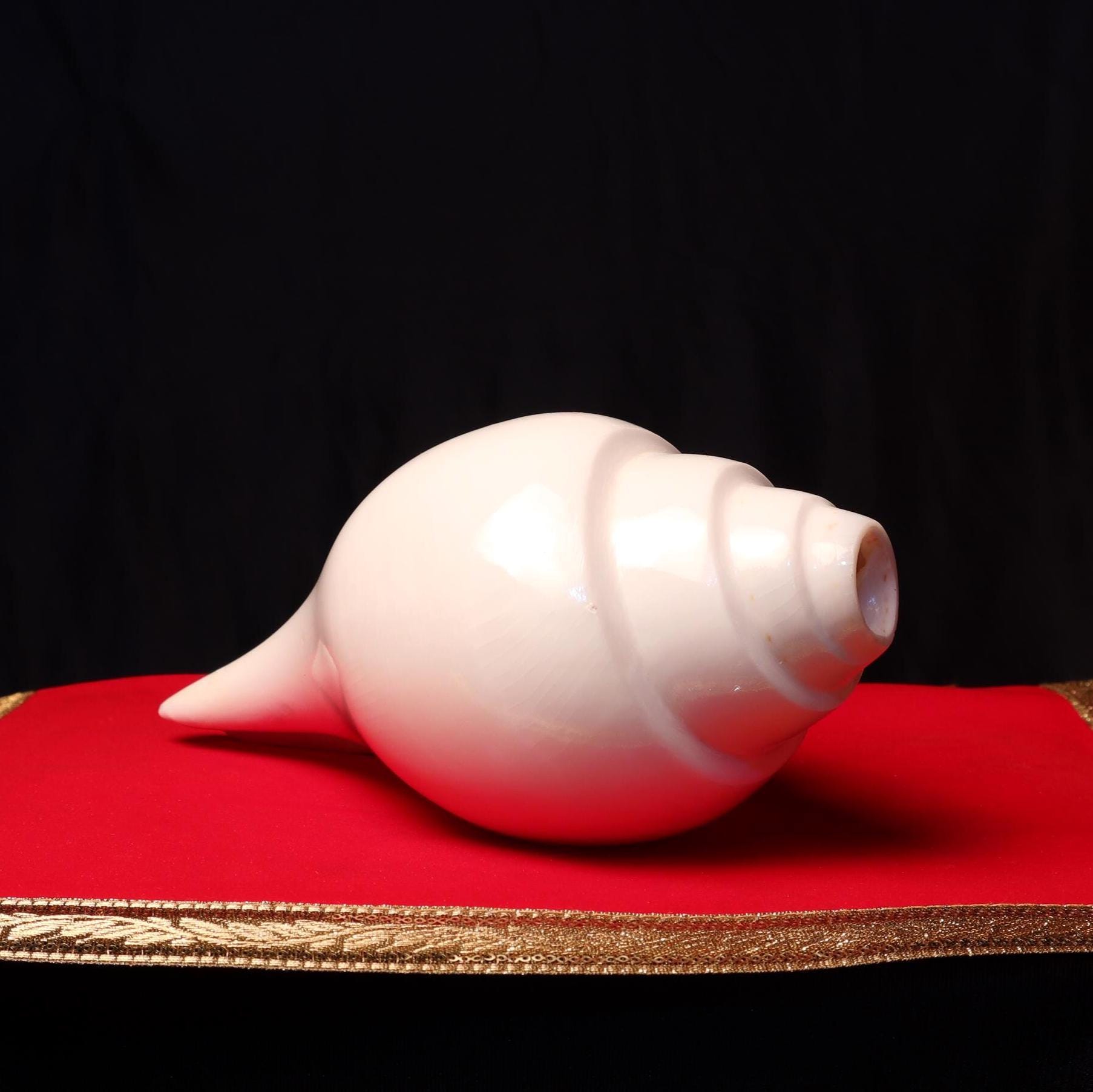 サンカ、吹く法螺貝、自然に鍛えられた音と精神の神聖な法螺貝 - Etsy 日本