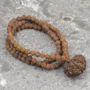 Authentic Rudraksha Mala, Choose Your Nepali Mukhi Guru Bead