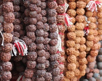 Himalayan Big Size 16mm Rudraksha 54+1 beads | Five Face Rudraksha Mala Grown at 800m in Nepal | Best for Japa, Meditation, Prayer, and Yoga