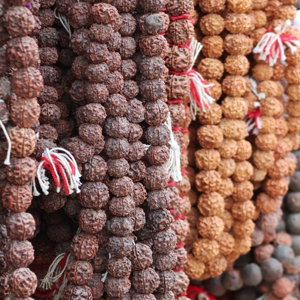 Himalayan Big Size 16mm Rudraksha 54+1 beads | Five Face Rudraksha Mala Grown at 800m in Nepal | Best for Japa, Meditation, Prayer, and Yoga