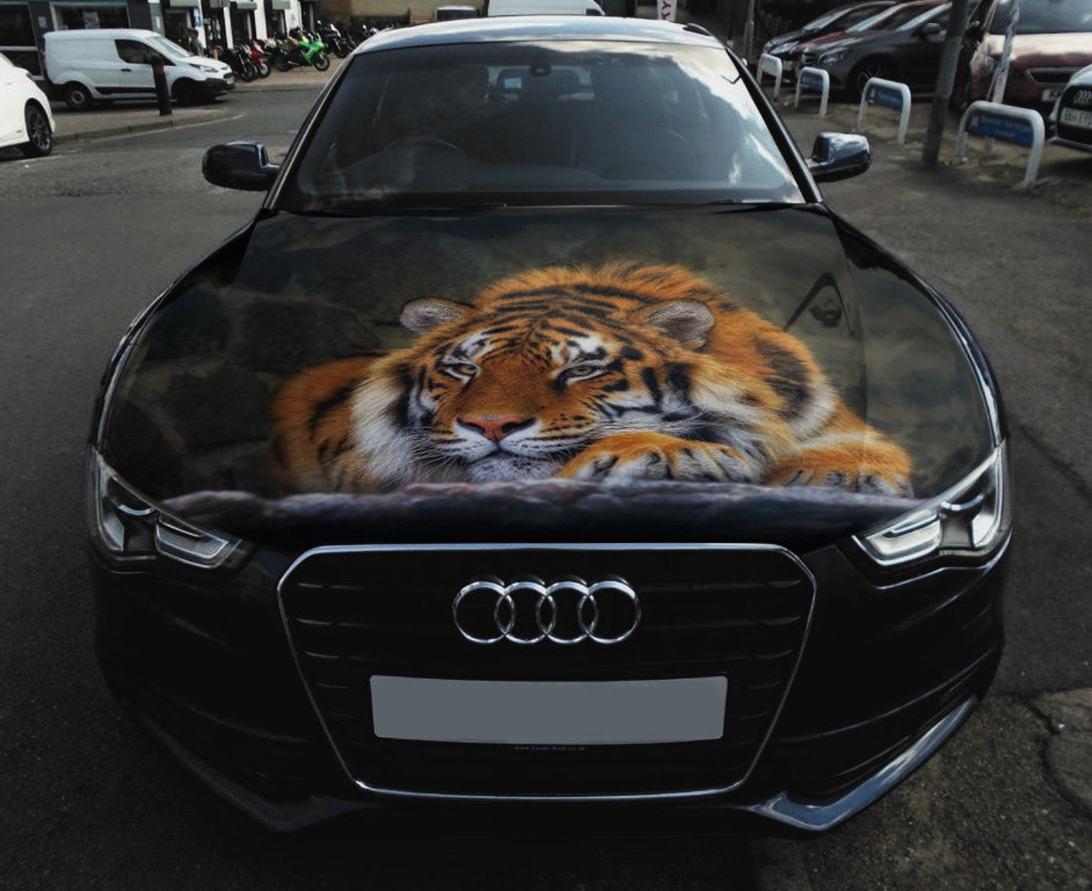 Tiger Car Hood Wrap Vinyl Decal Full Color Graphics Etsy