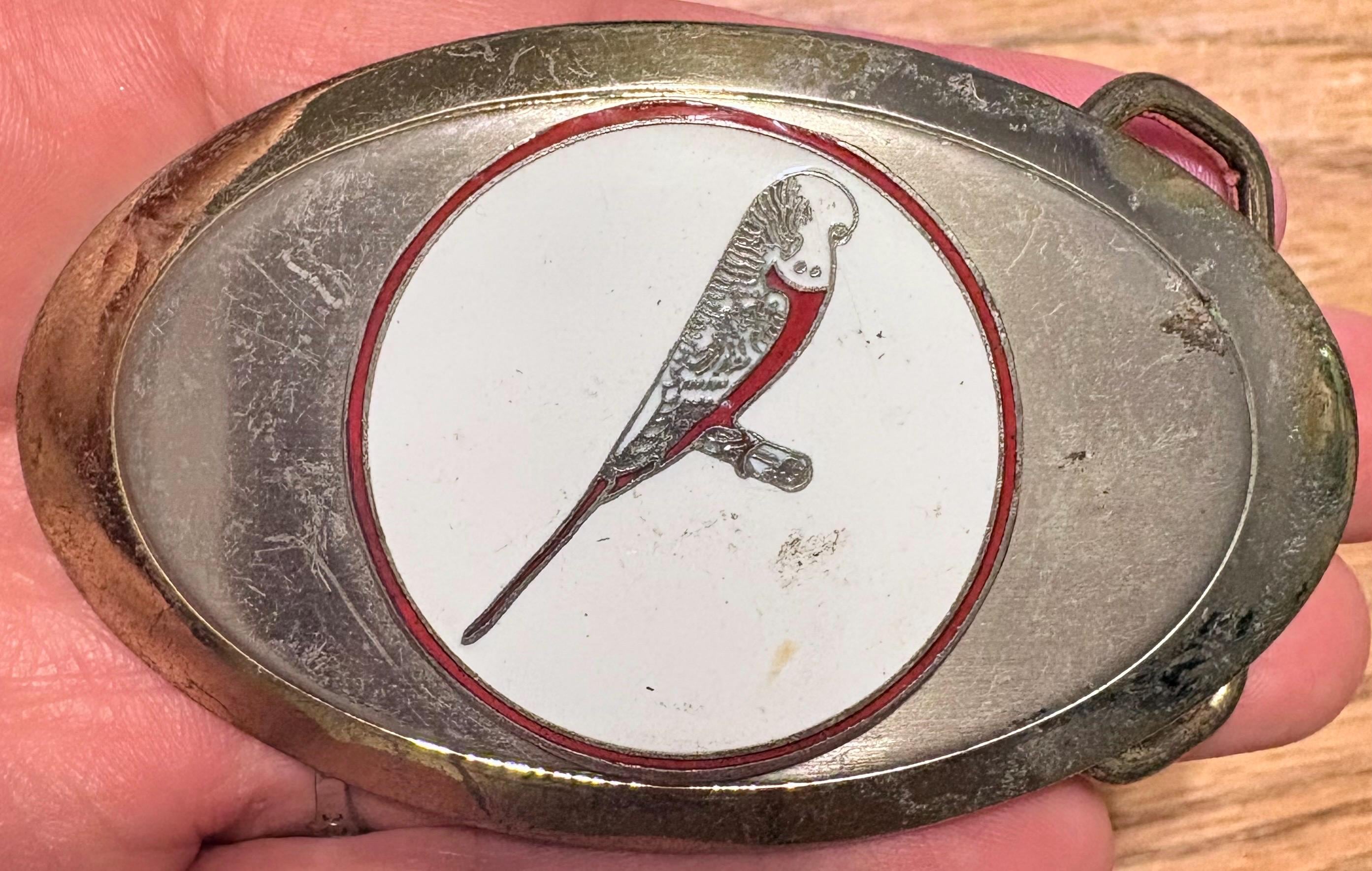 Parrot Belt - Etsy Ireland