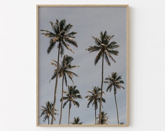 Palm Tree Print | Tropical Palm Wall Art | Downloadable Print | Beach House Decor | Beach Wall Art | Botanical Print