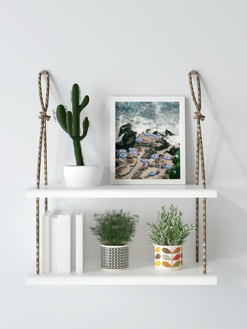 May include: White floating shelves with rope hangers, featuring a cactus, two potted plants, a framed photograph of a beach scene, and a stack of books.