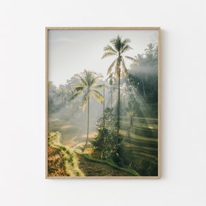 Palm Tree Print | Bali Wall Art | Tegallalang Rice Terrace Print | Indonesia Print | Downloadable Print
