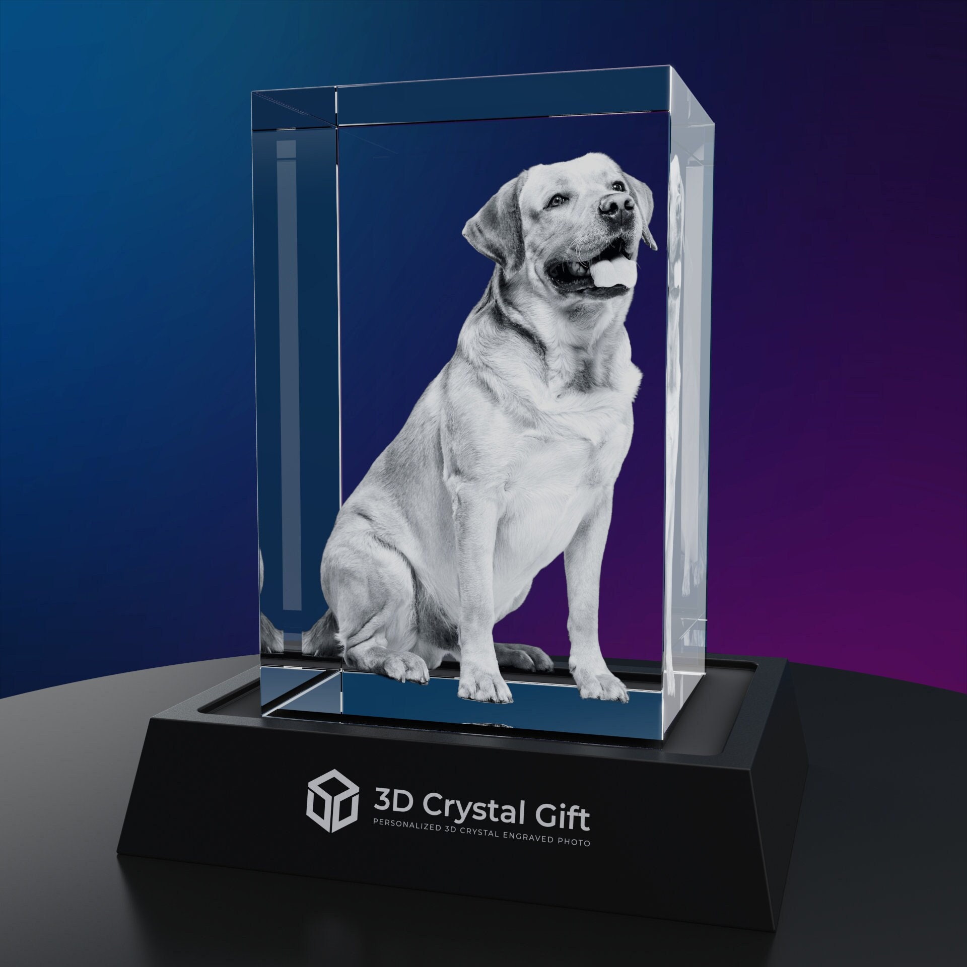 Photo personnalisée en cristal 3D pour animaux de compagnie, images 3D  personnalisées, cadre photo personnalisé pour chiens ou chats, cadeaux de