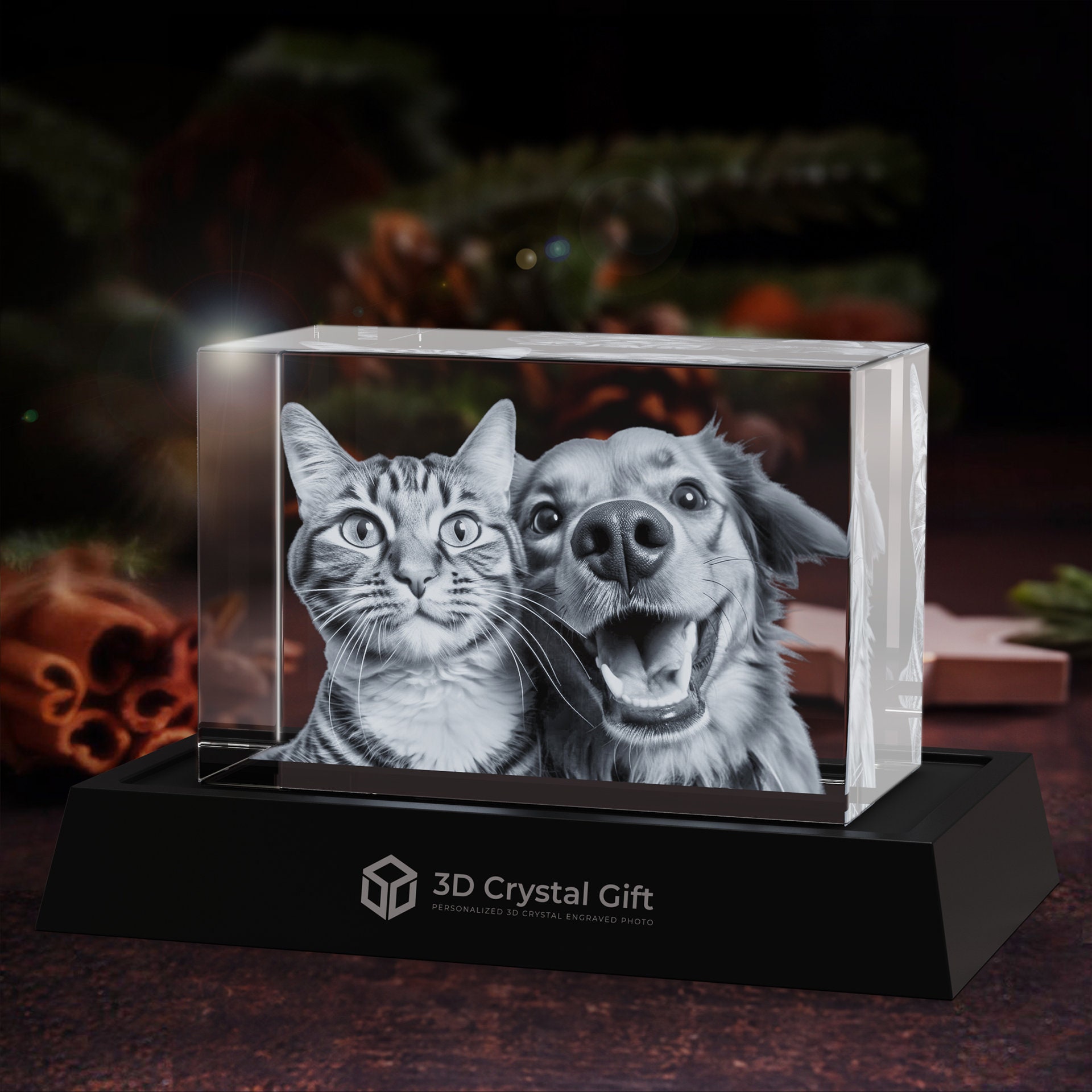 3D Crystal Photo, Customized Holiday Gift, Personalized