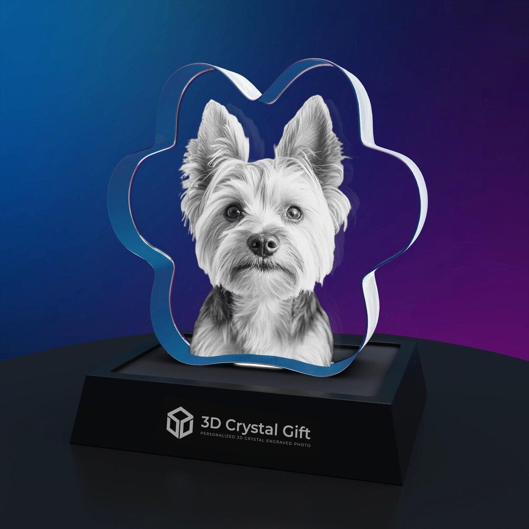 3D Crystal Photo Pet Paw - Customized Pet Memorial Gift - Laser-etched ...