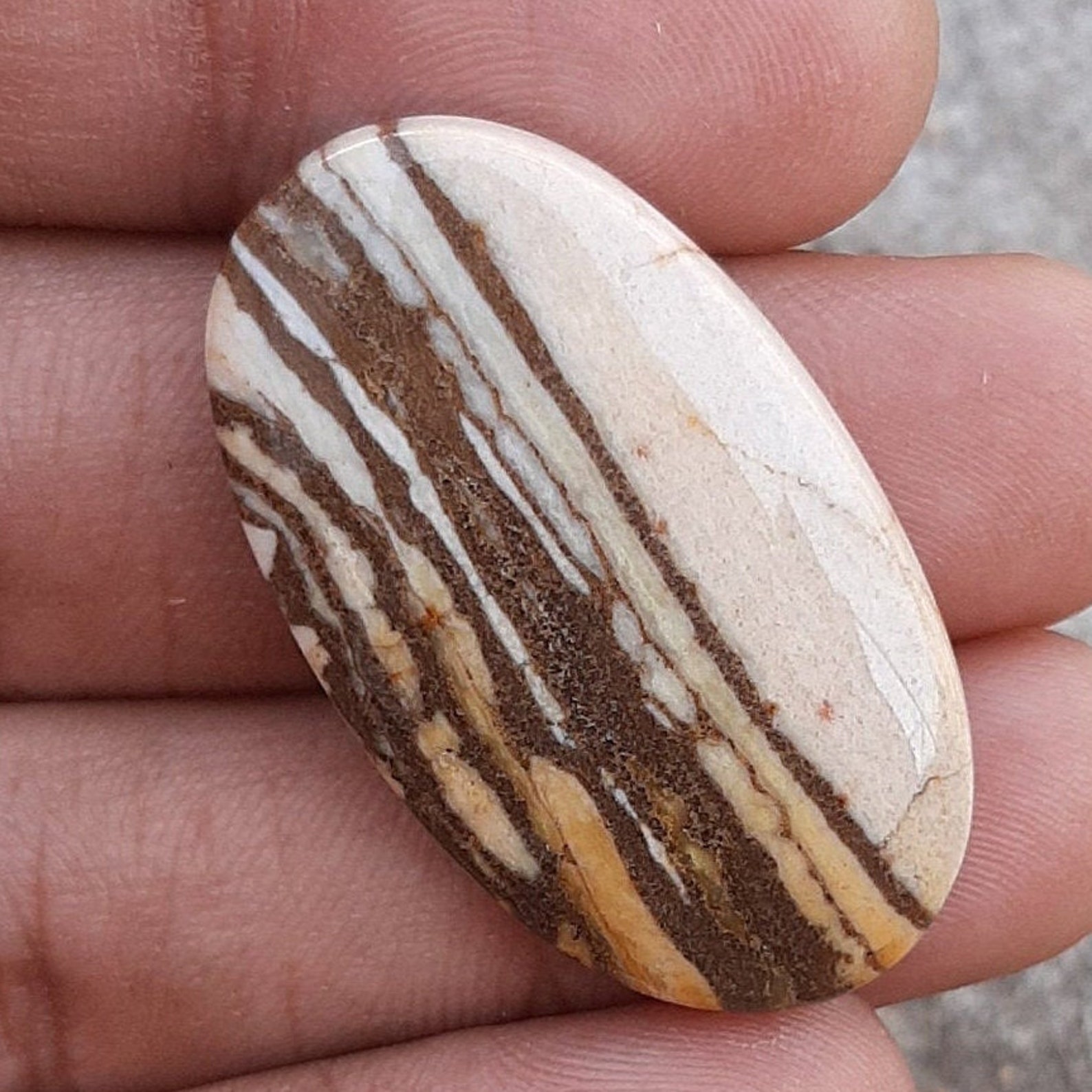 Brilliant Natural Zebra Jasper Cabochon Gemstone Zebra Jasper Etsy