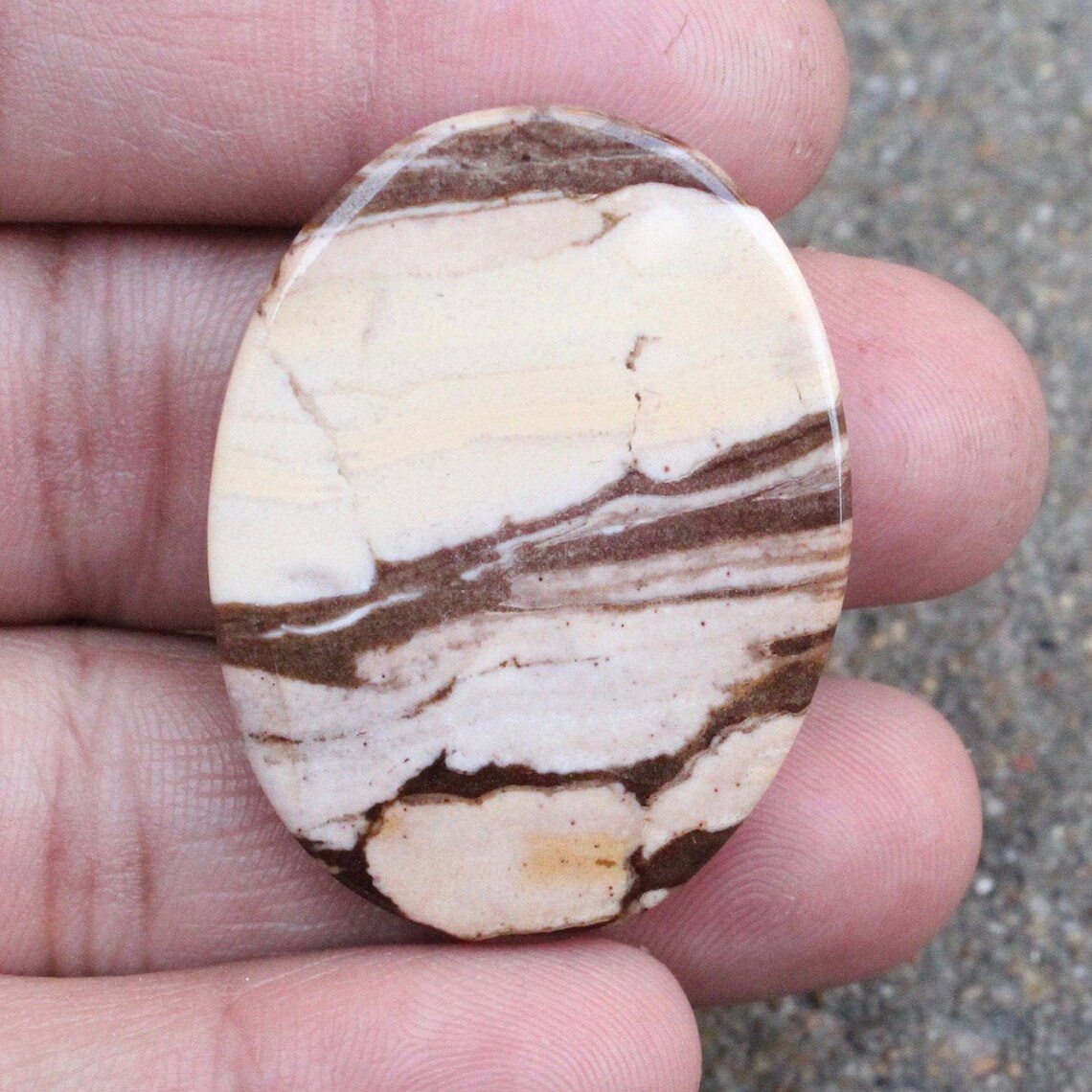 Top Amazing Natural Zebra Jasper Cabochon Gemstone Zebra | Etsy