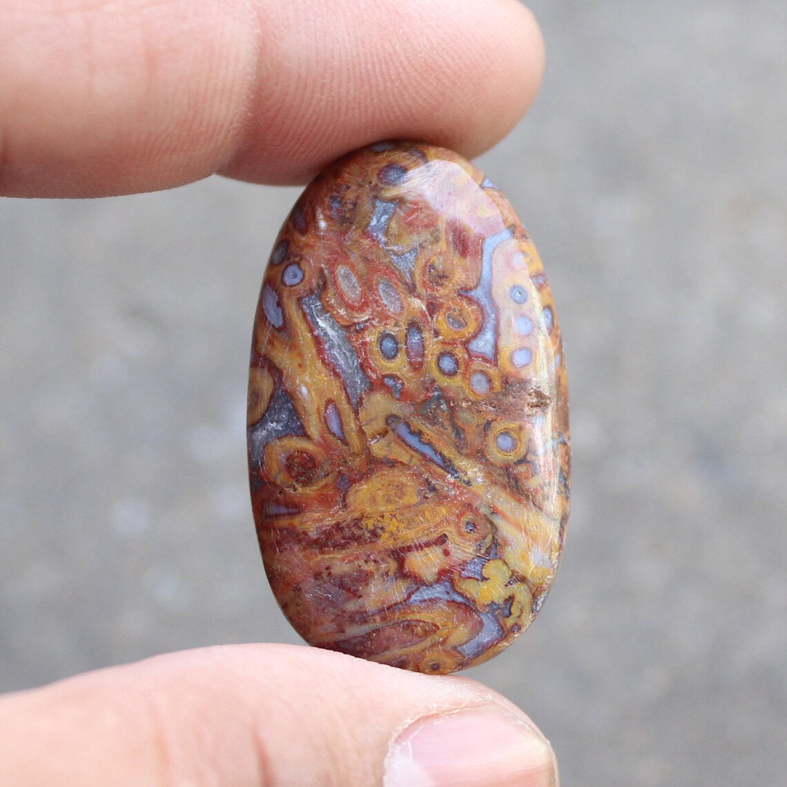 Rare Indonesian Red Petrified Palm Wood Cabochon Petrified Etsy