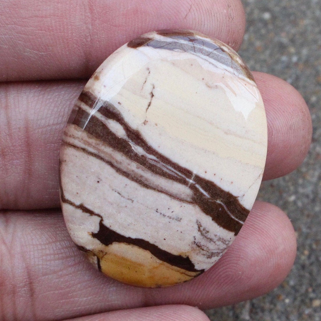 Top Amazing Natural Zebra Jasper Cabochon Gemstone Zebra | Etsy