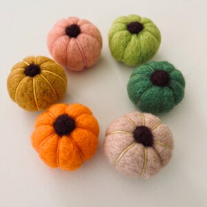 Handmade Autumn Wool Felt Pumpkins