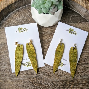 May include: Two pairs of wooden leaf earrings with gold and silver hooks. The earrings are on white cards with the text "Branch and Bloom" and "Sea Branch".