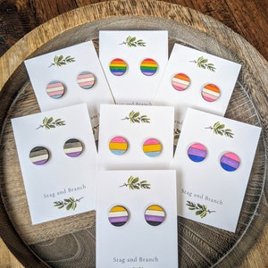 May include: Set of six pairs of wooden earrings featuring different pride flag designs. The flags include the rainbow, transgender, lesbian, bisexual, pansexual, and genderqueer flags. Each pair of earrings is displayed on a white card with a small green branch design and the text "Stag and Branch".