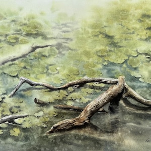Original Hand Painted Watercolor Painting - Swamp - Aquarelle Painting - Home Decor - Wall Decor - Idea for Gift