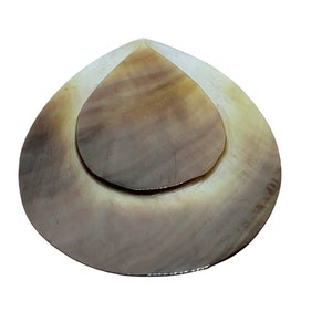 Shell/MOP Needle Minder