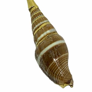 May include: A brown and white seashell with gold accents. The shell has a spiral shape with horizontal white stripes and gold bands. The top of the shell is capped with a gold tip.