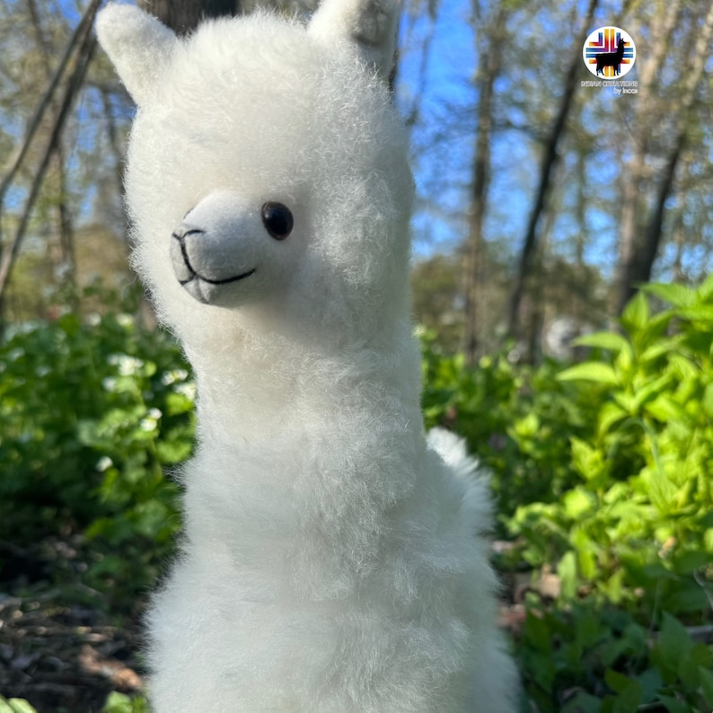 Op de afbeelding: Een wit alpaca pluche speelgoed met een pluche vacht en zwarte ogen. Het speelgoed staat in een grasachtig gebied met groene vegetatie.