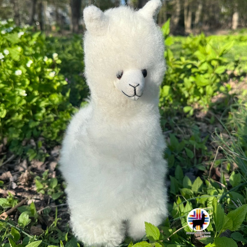 Op de afbeelding: Een wit alpaca pluche speelgoed met een pluche vacht en zwarte ogen. Het speelgoed staat op een bed van groen gras.