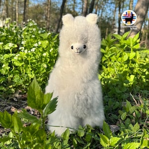 Op de afbeelding: Een wit alpaca knuffeldier dat in een bedje van groen gras en witte bloemen zit. De alpaca heeft een pluche witte vacht en zwarte ogen.