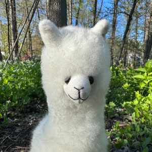 Op de afbeelding: Een wit, pluche alpaca-knuffeldier met zwarte ogen en een zwarte neus. Het speelgoed zit in een grasachtig gebied met groene vegetatie.
