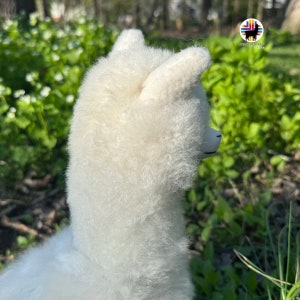 Op de afbeelding: Een wit alpaca pluche speelgoed met een pluche textuur. Het speelgoed is van de camera afgekeerd en staat in een grassig gebied.