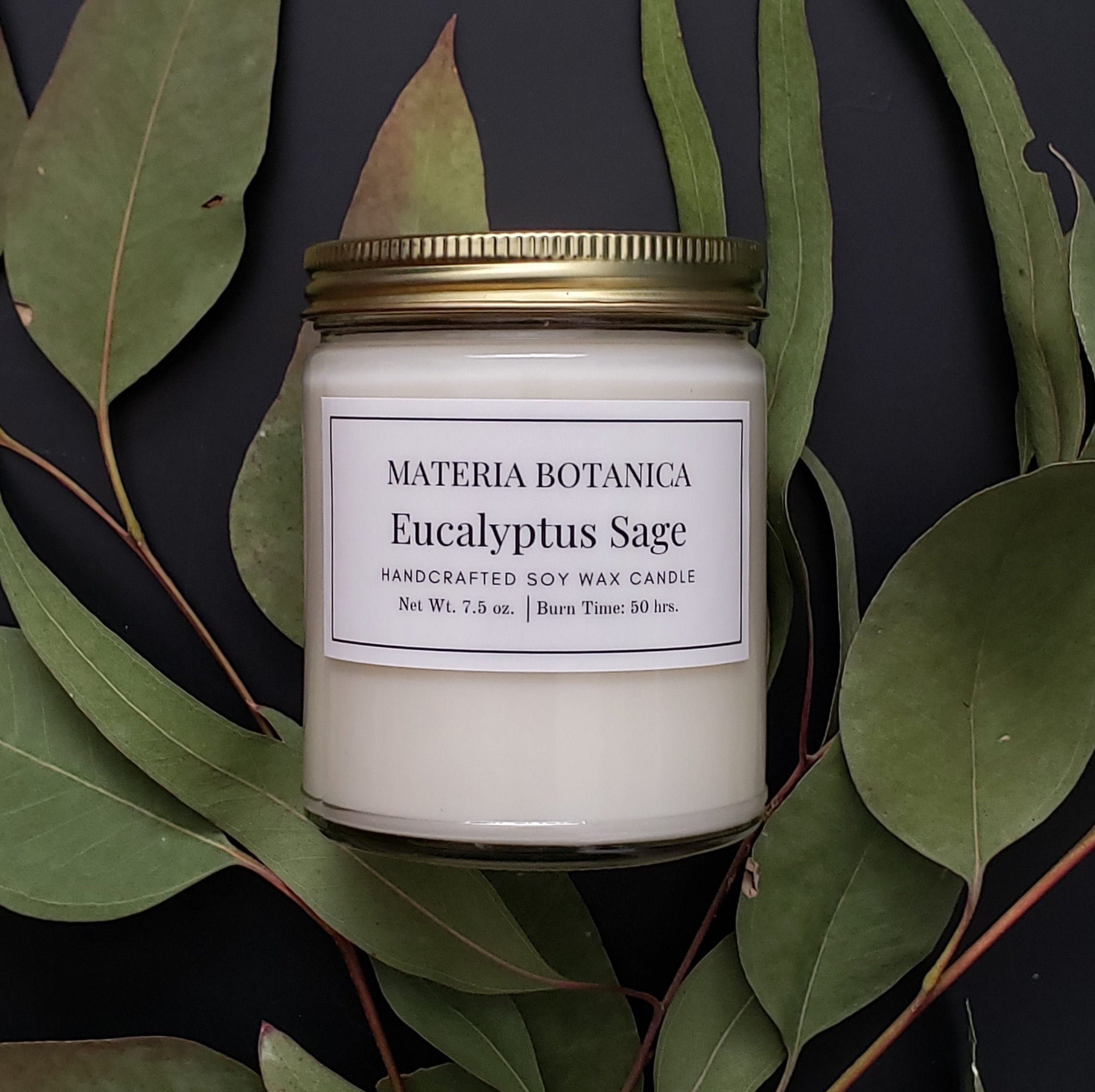 Botanica Beeswax Candle in Blown Glass Eucalyptus - Orange / 8 oz