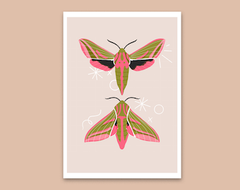 Pink Moth Art Print,  Butterfly Wall Art, Illustration A5, A4