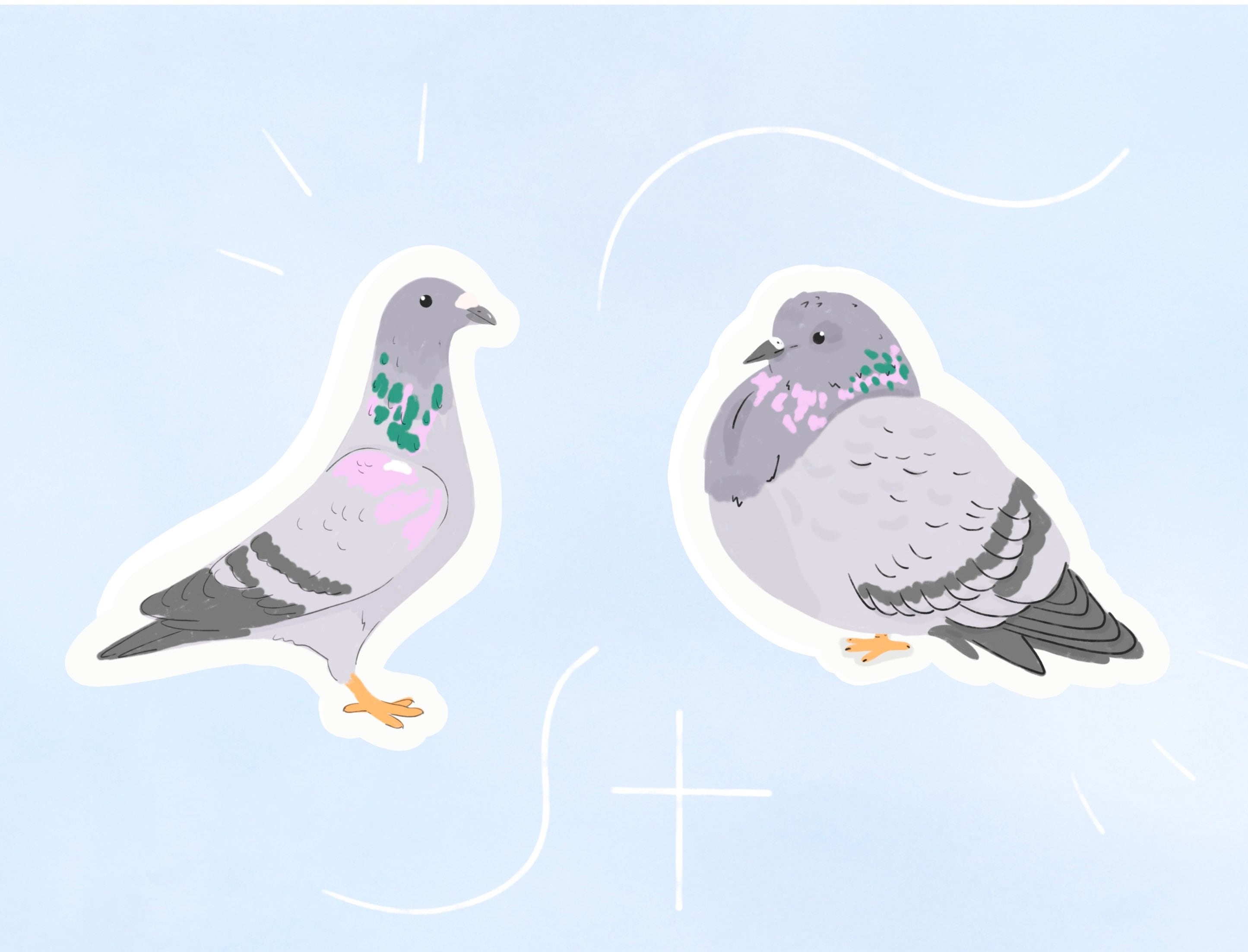 Pigeon Sticker Set, Diecut Sticker Pack, Cute Illustrated Bird Sticker ...