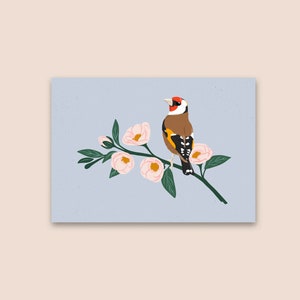 Pintassilgo em flores rosa claro, mini impressão artística, arte de parede