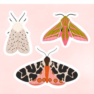Set di adesivi falena colorati, pacchetto di adesivi fustellati, pacchetto di adesivi illustrati per la fauna selvatica
