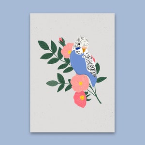 Periquito azul em flores rosa, mini impressão artística, arte de parede