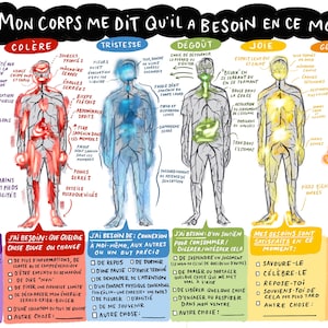 Pode incluir: Uma ilustração infográfica de uma figura humana com veias e órgãos de diferentes cores que representam diferentes emoções: medo, raiva, tristeza, nojo, alegria e excitação. Cada emoção é rotulada com uma palavra francesa e inclui uma lista de sintomas físicos e necessidades emocionais.