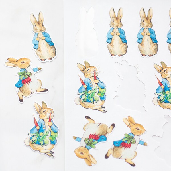 Beatrix Potter Cut-Outs Edible Printed Frosting Sheet - Cookie or Cupcake Topper