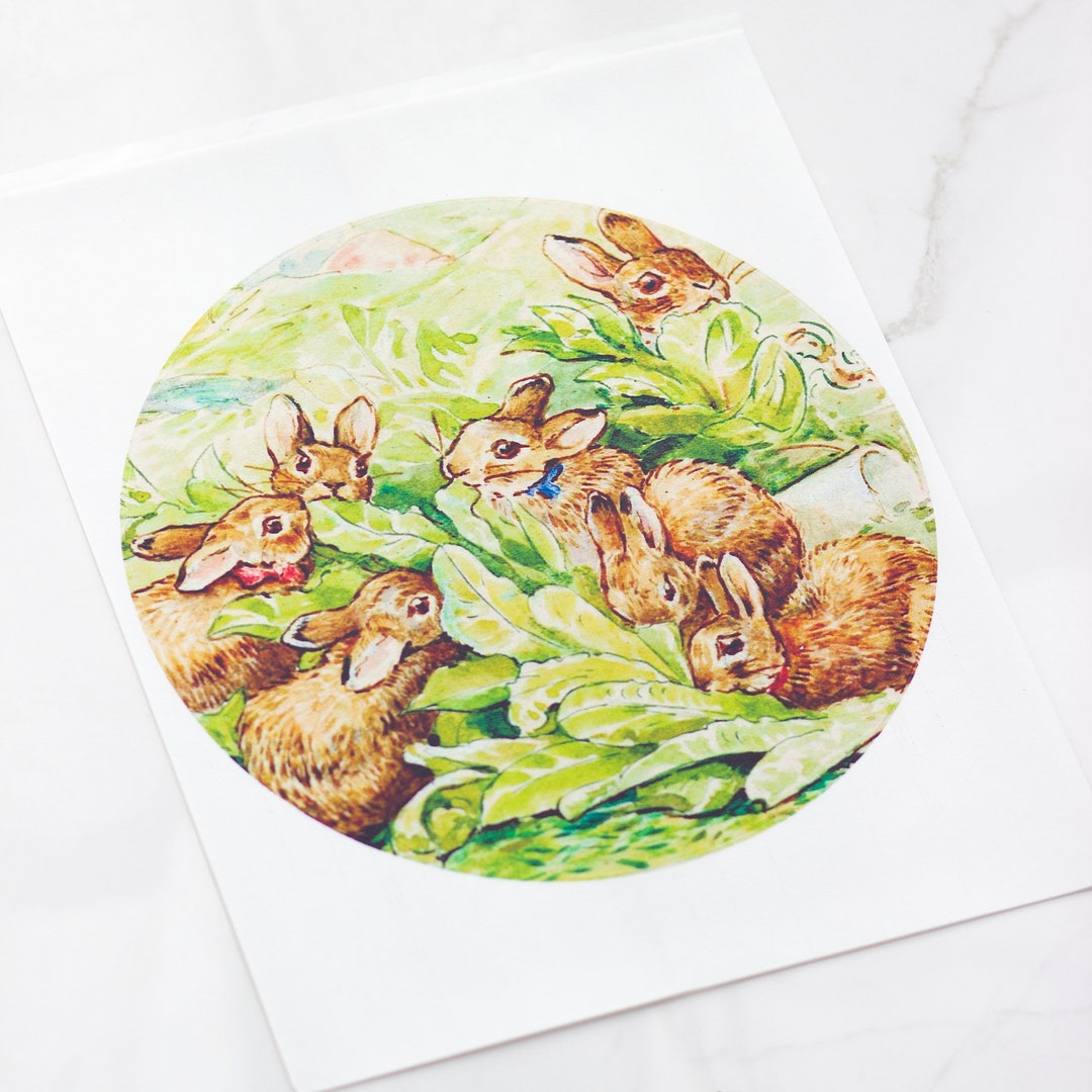 Beatrix Potter Cake Topper Edible Printed Frosting Sheet Bunnies in