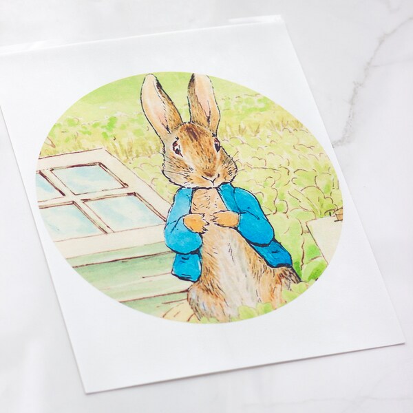 Peter Rabbit Cake Topper Etsy