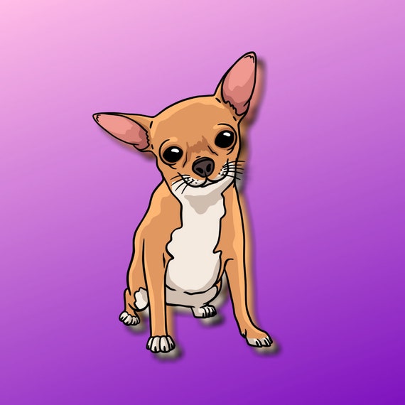 Super chihuahua store
