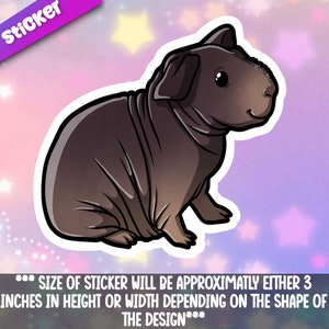 Skinny Pig 1 sticker- Kawaii Hairless Guinea Pig friend friend-for laptop, planner, phone case + By Mega Kawaii