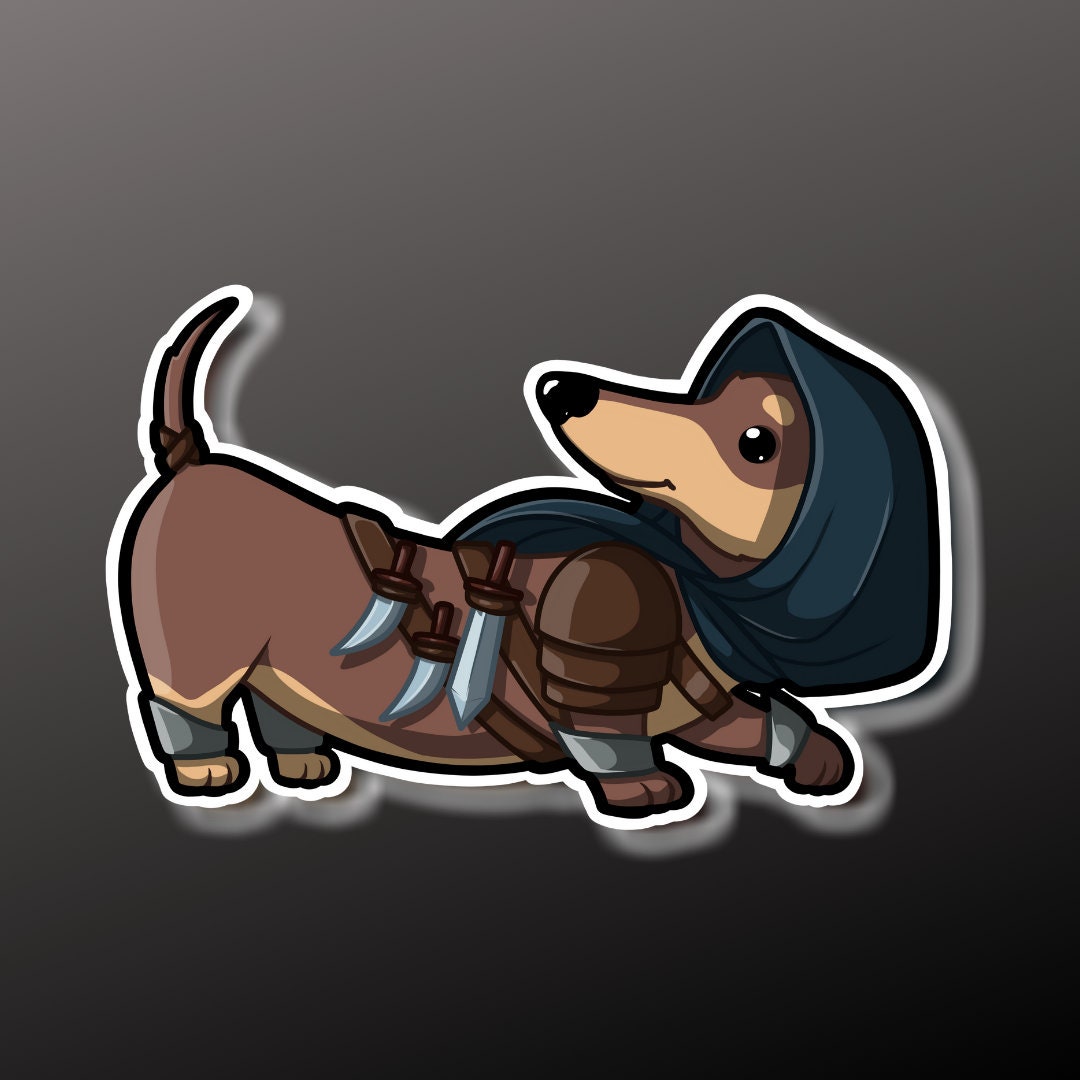 D&d sales dog coats