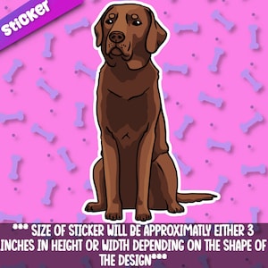 Puede incluir: Un perro labrador retriever marrón sentado con las patas cruzadas. El perro está mirando directamente al espectador. La pegatina tiene aproximadamente 7,6 cm de alto o de ancho.