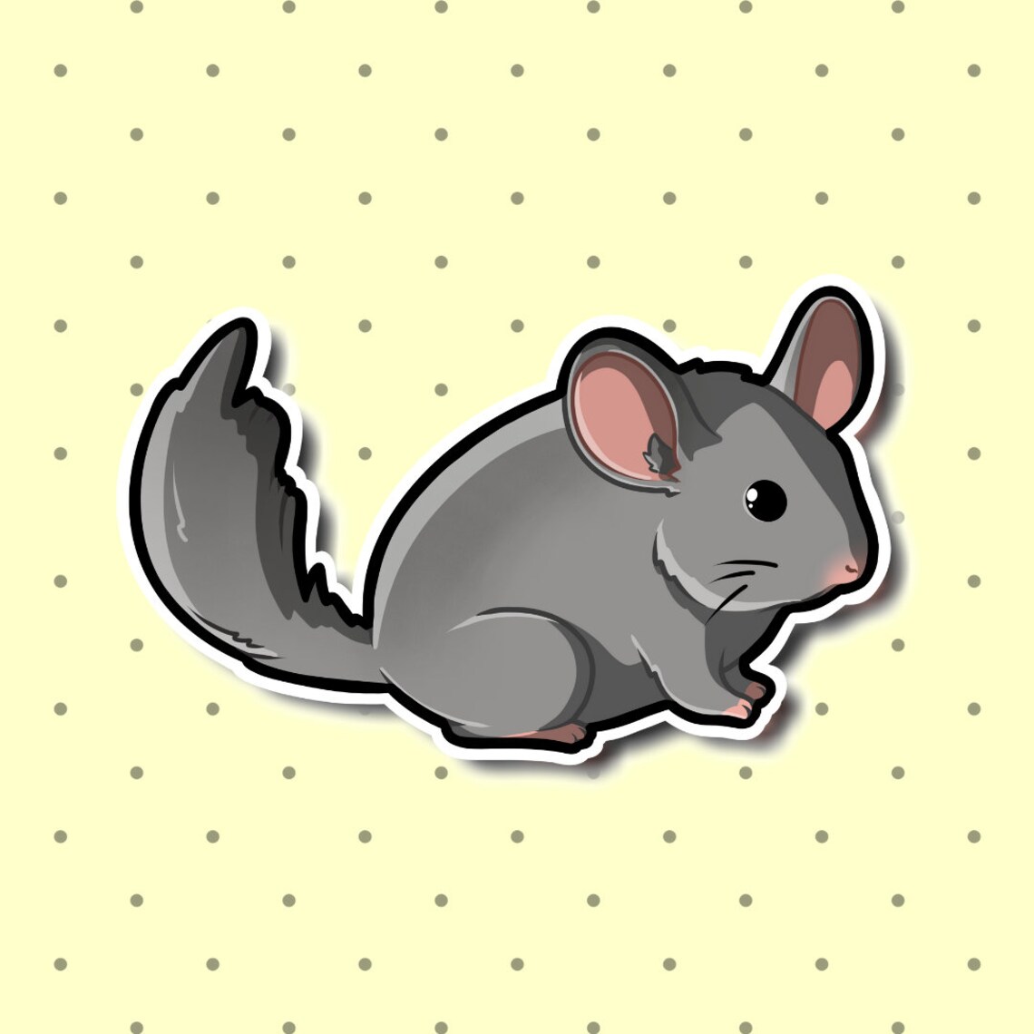 Kawaii Grey Chinchilla. Super Adorable Kawaii Chinchilla Etsy