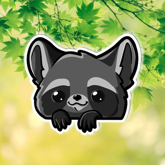  Kawaii Raccoon Stickers, Cute Raccoon, Raccoon Inside