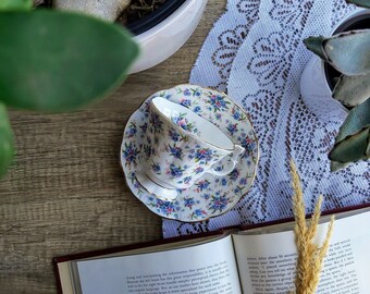 Vintage Royal Albert Covet Garden Cup and Saucer China