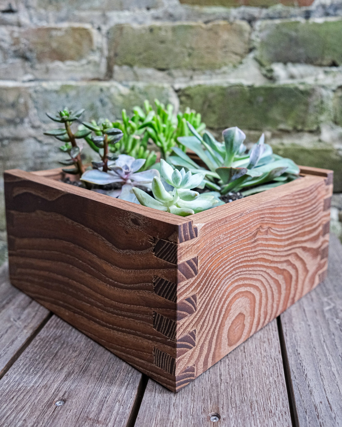 Heat Treated Ash Succulent Planter Square Trough Etsy