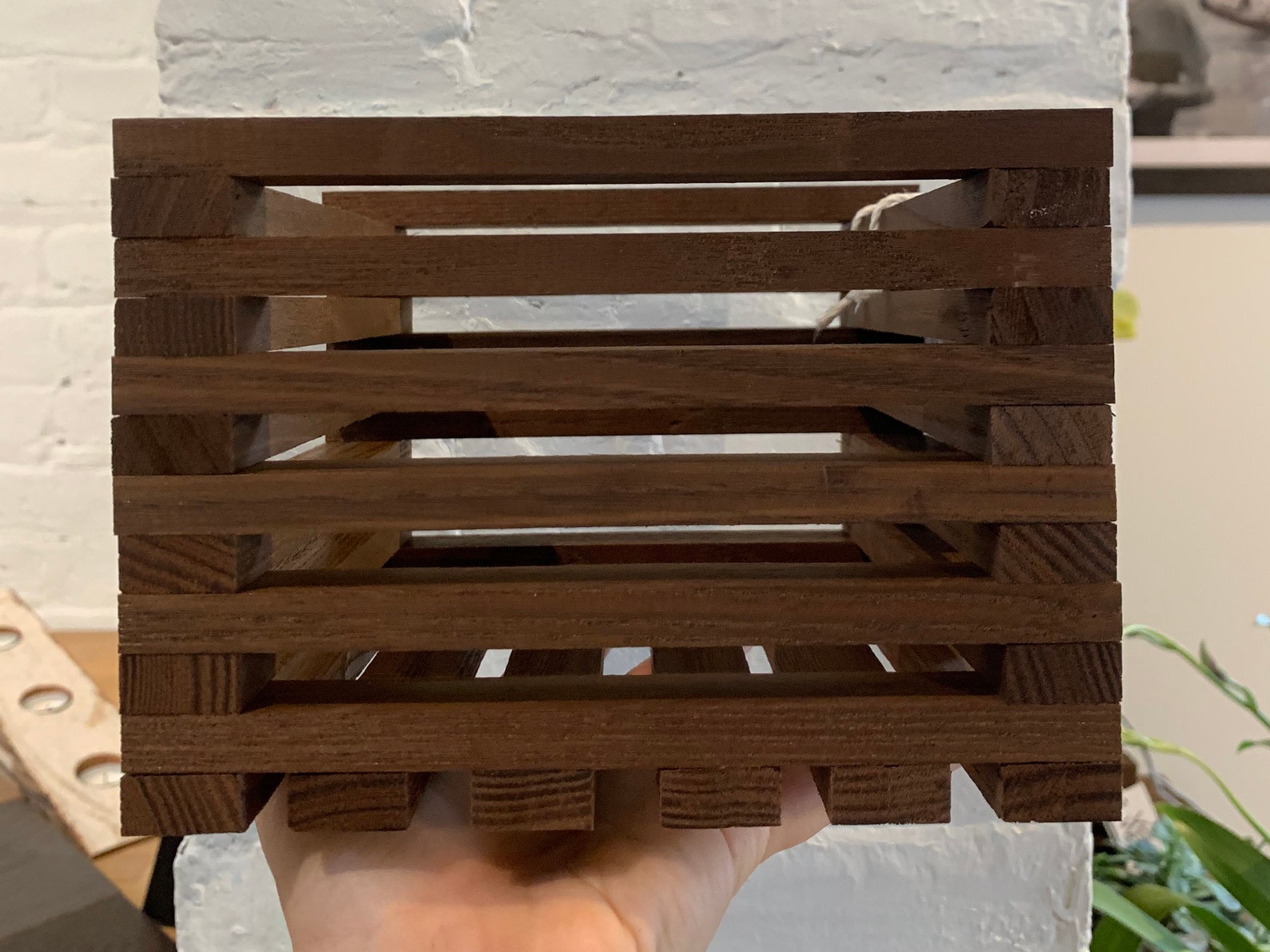 Heat Treated Ash Orchid Planter Etsy