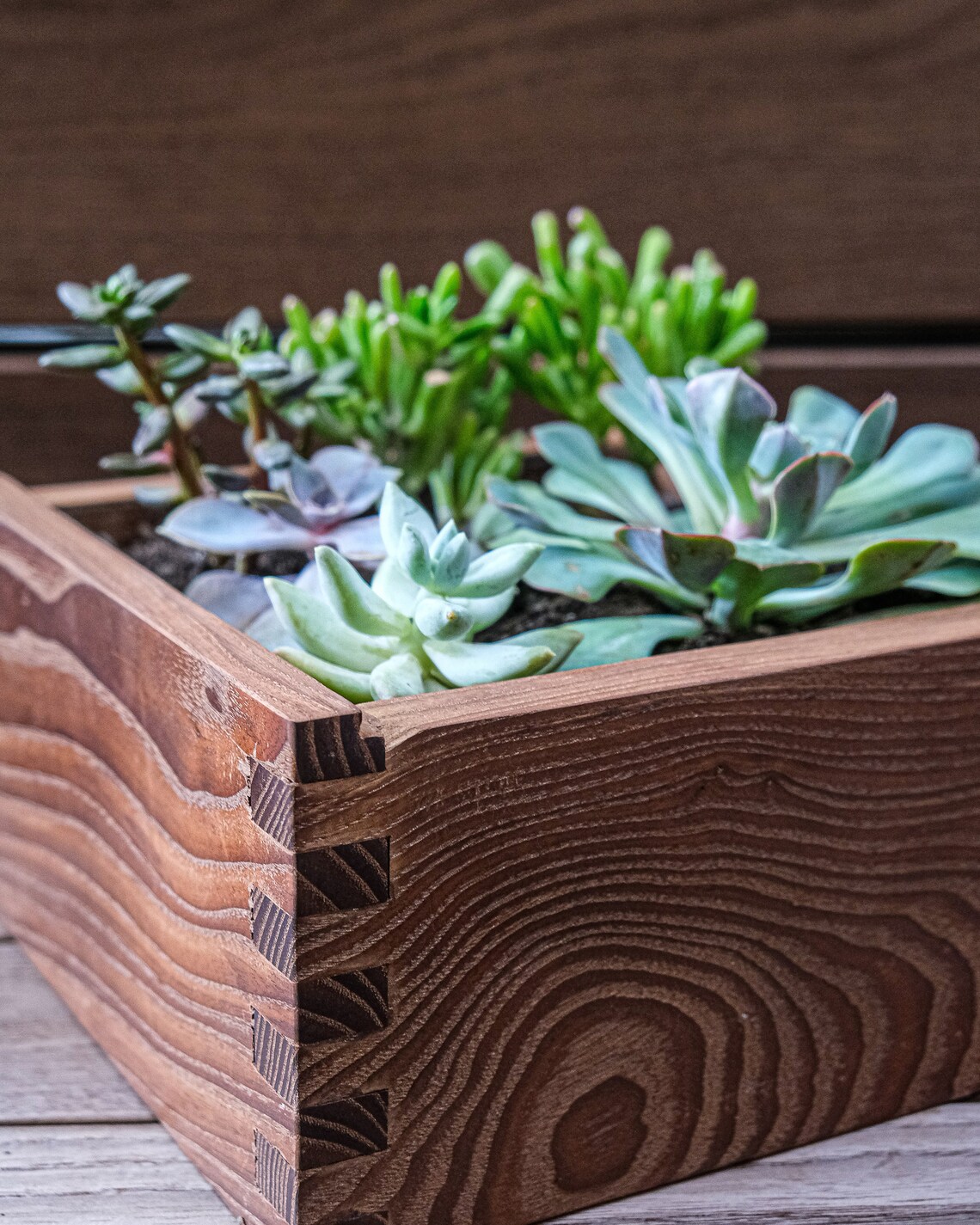 Heat Treated Ash Succulent Planter Square Trough Etsy